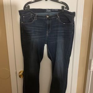 Signature by Levi Stratus size 24 W Short